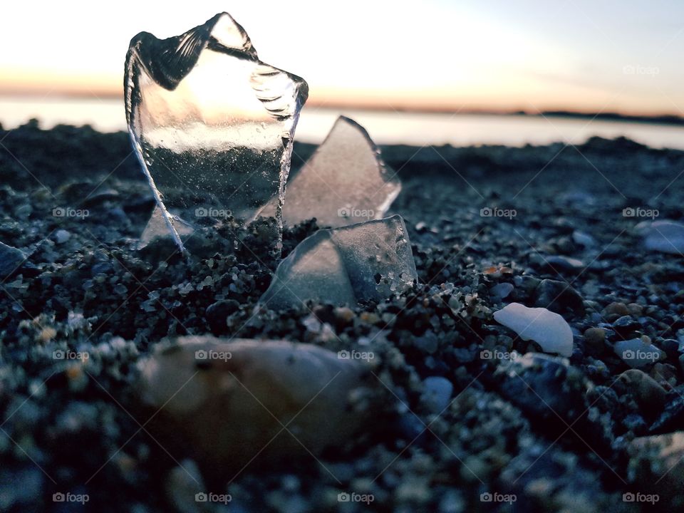 Shell by the Shore
