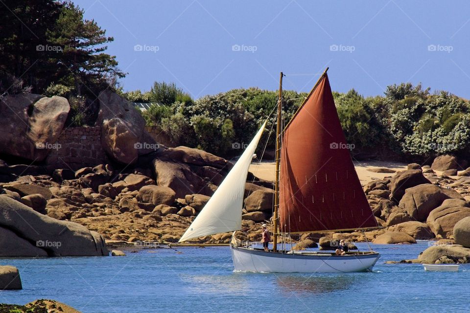 sailboat on the sea