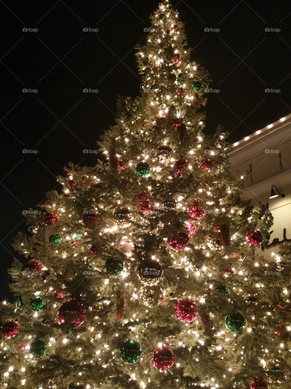 Christmas Tree. Christmas in the city