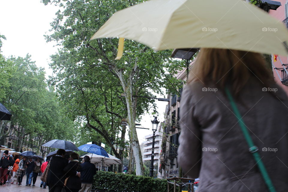 Umbrella, Rain, People, Festival, Drag Race
