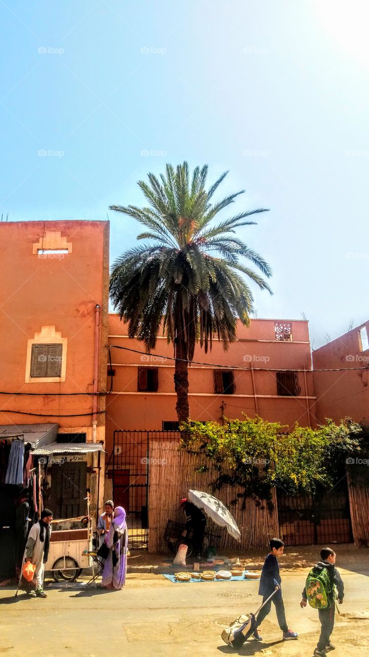 A palm tree near a house on the side of a street in Guelmim ,a city in the South ofMorocco