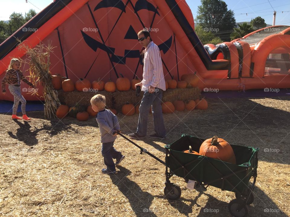 Pulling my pumpkins in a wagon
