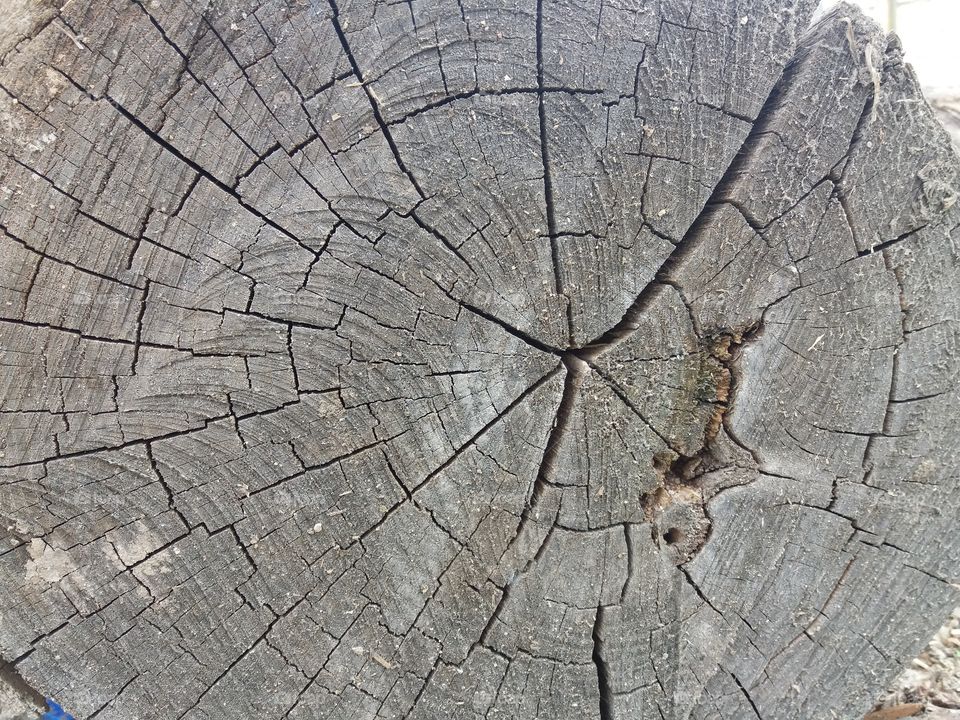 old wood