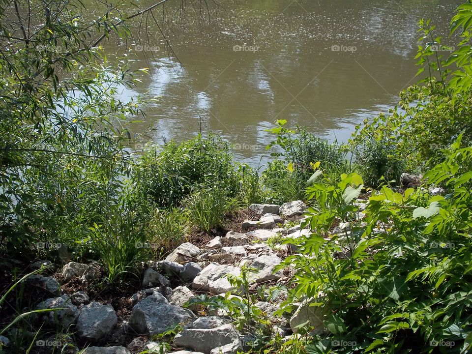 rocky path to water