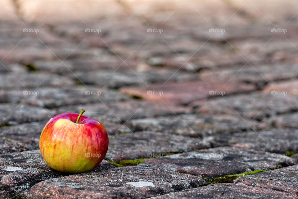 Footpath brick blocks with red apple, the beautiful pathway in the public park in the morning.