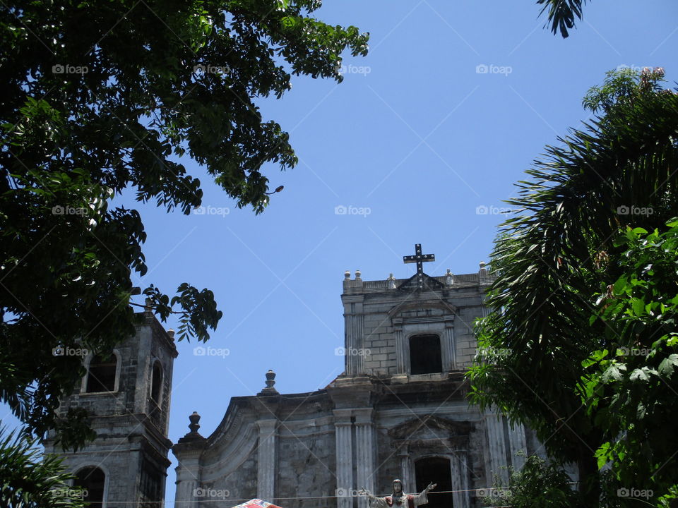 church on tree