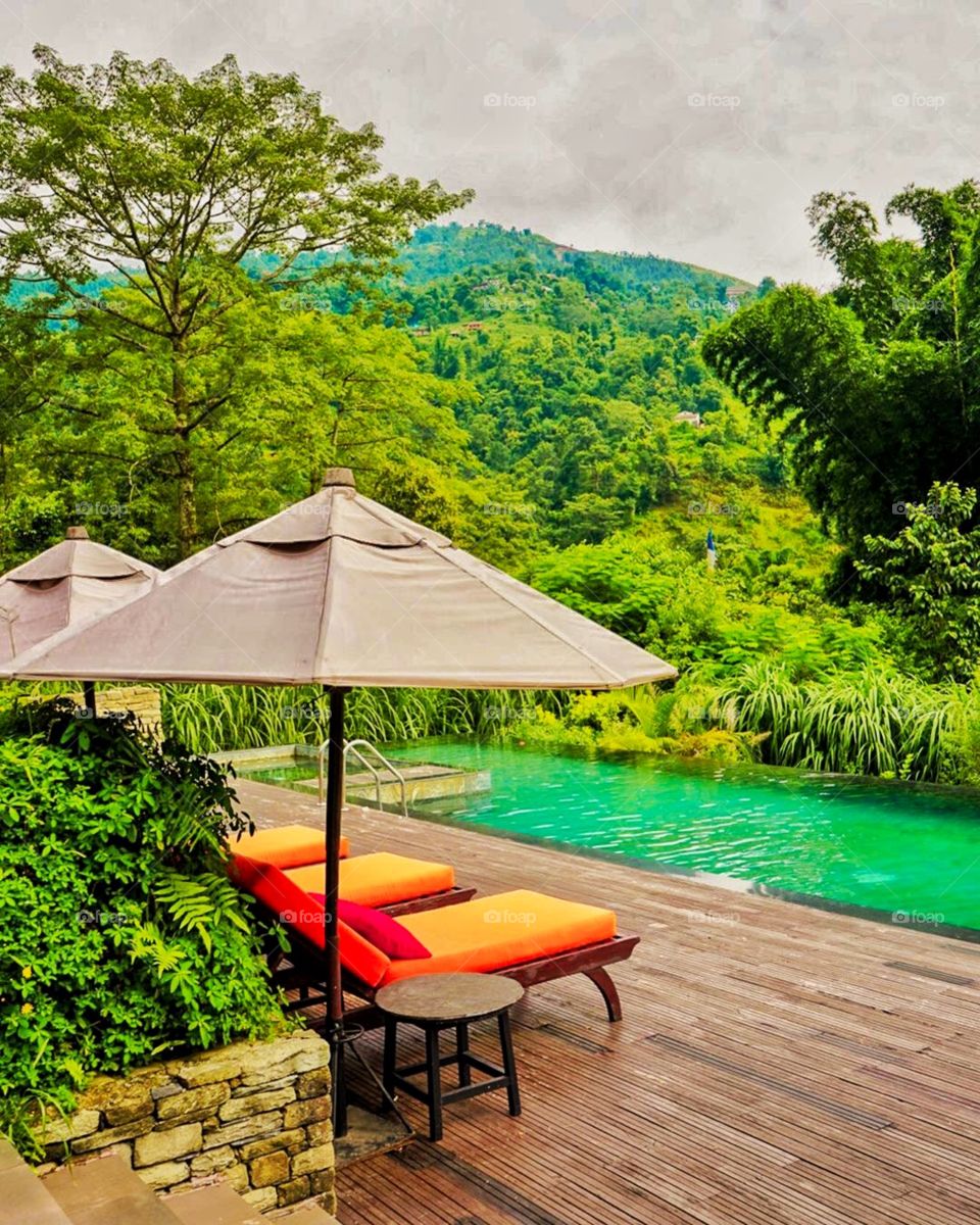 How about a swim amidst the lush greenery? No brainer, right?