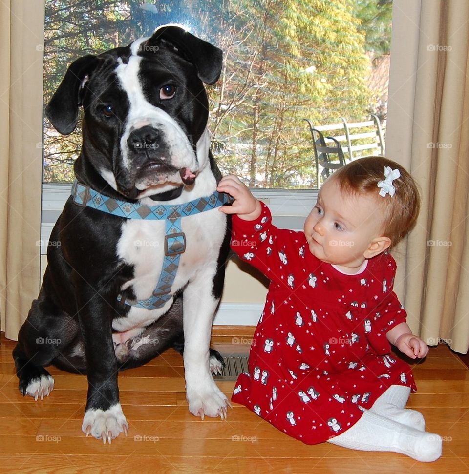 Big dog, little baby