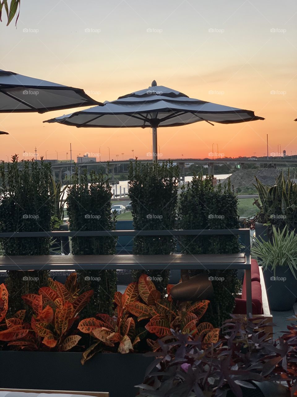 Rooftop bar overlooking scenic downtown Tampa 