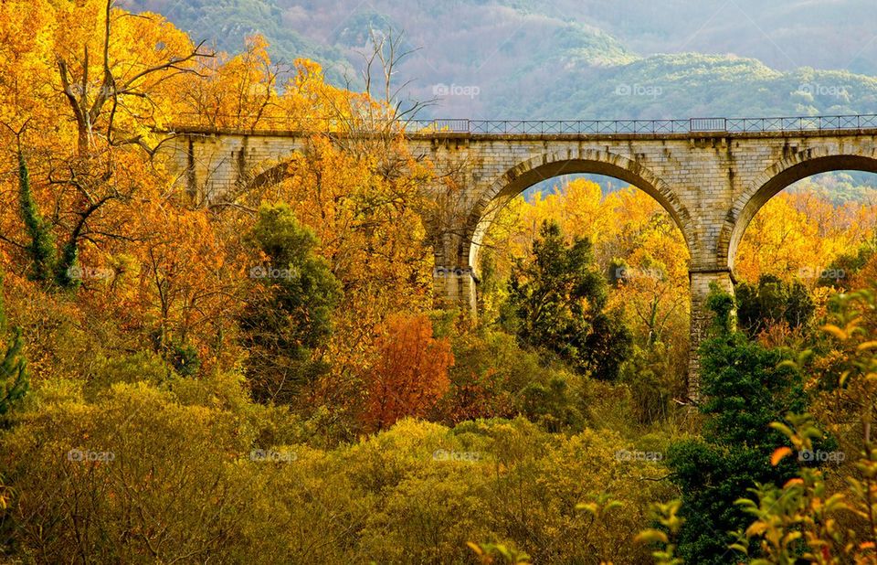 Rusty old bridge near a forest