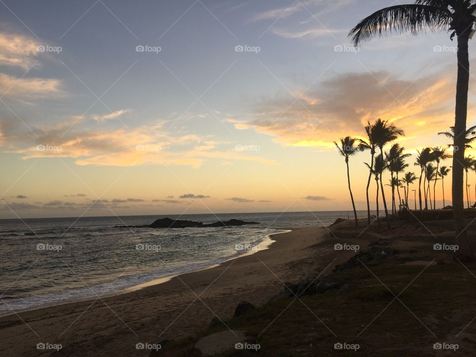 View of beach during sunset