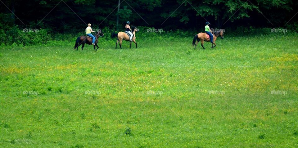 Trail Riders