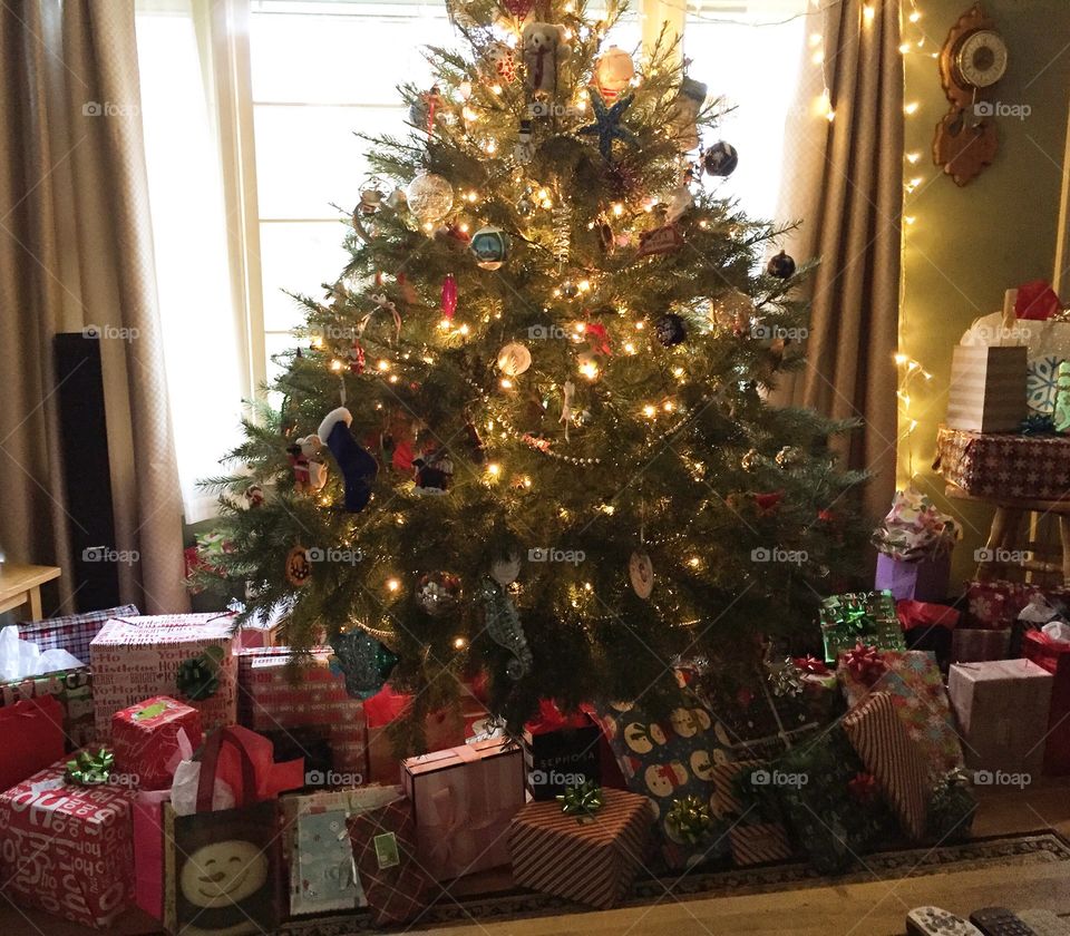 Christmas, Christmas Tree, Winter, Celebration, Decoration