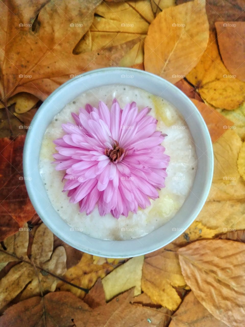 Hot coffee in the fall with a flower