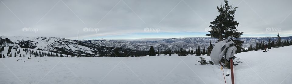 Aspen