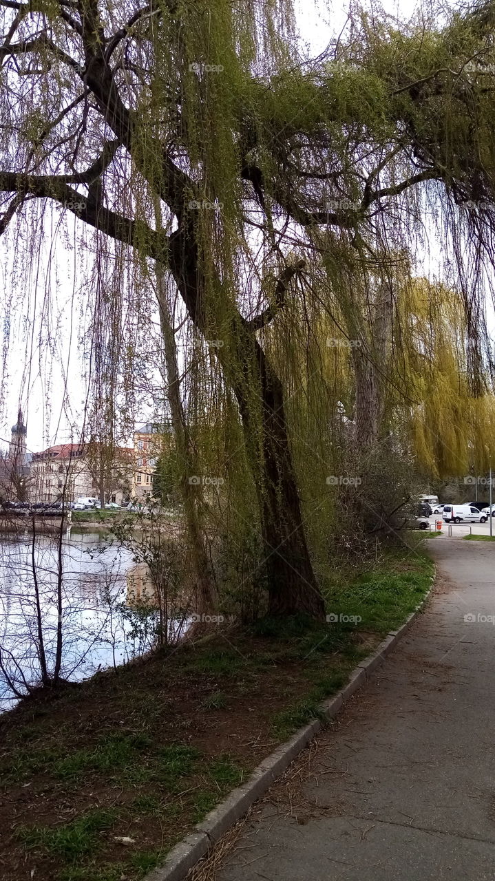 Altenburg, Frühling
