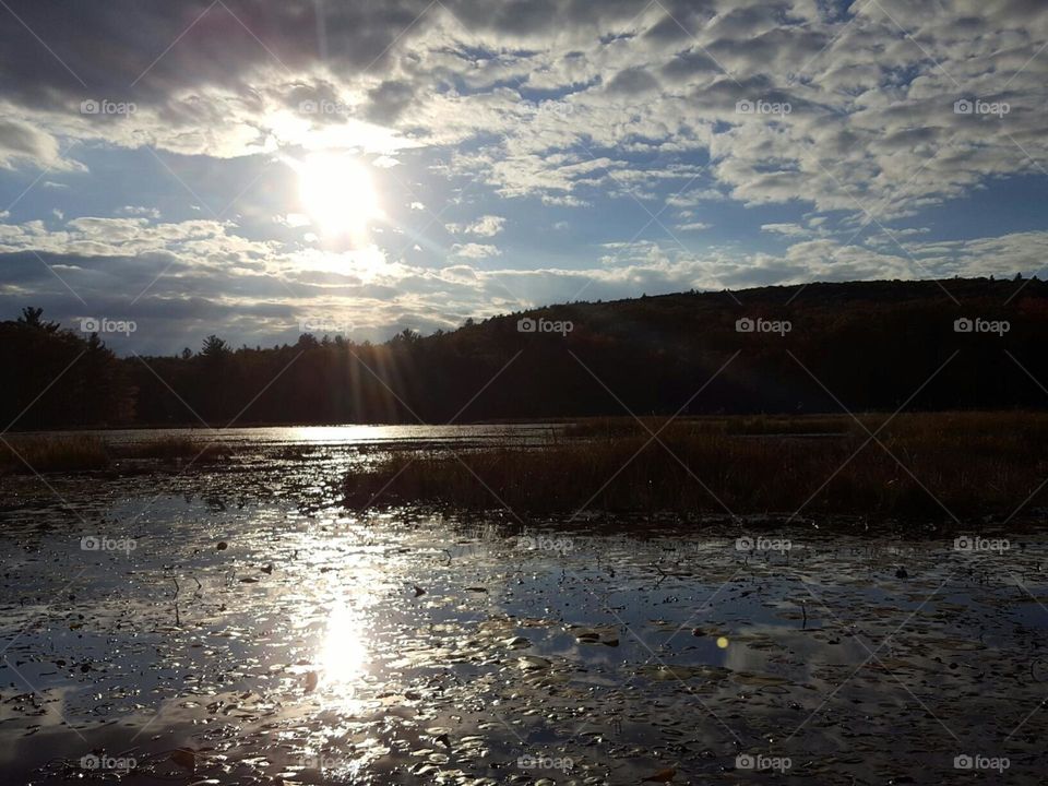 Afternoon By the pond