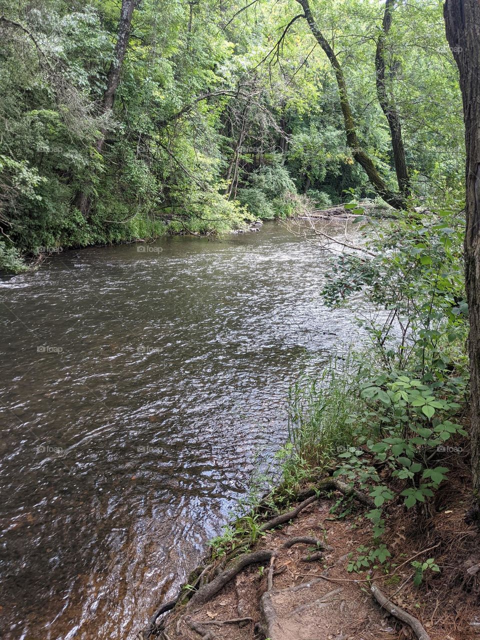 Hike in woods