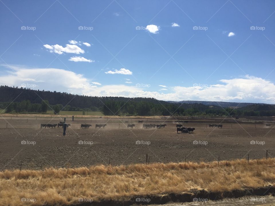 No Person, Landscape, Outdoors, Agriculture, Sky