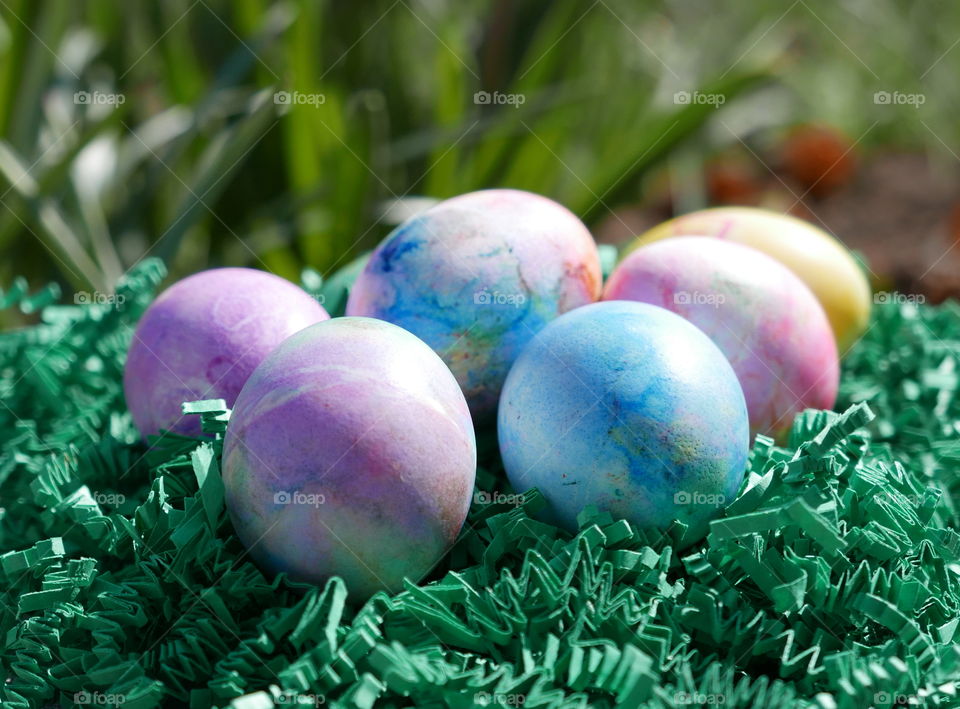 Close-up of painted easter eggs