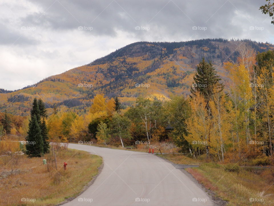 Fall in the mountains 