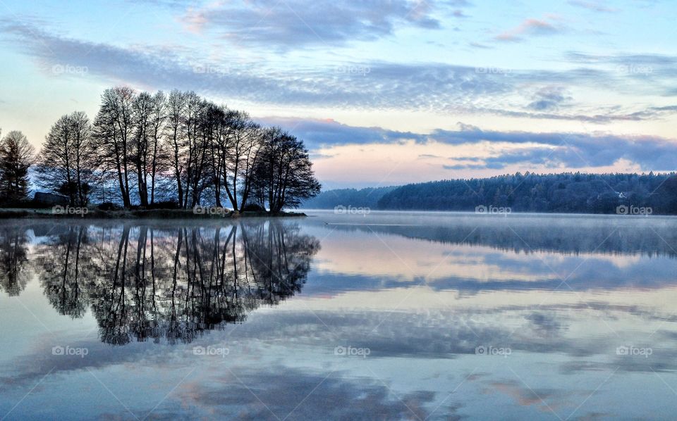 Landscape, Lake, Tree, Reflection, Winter