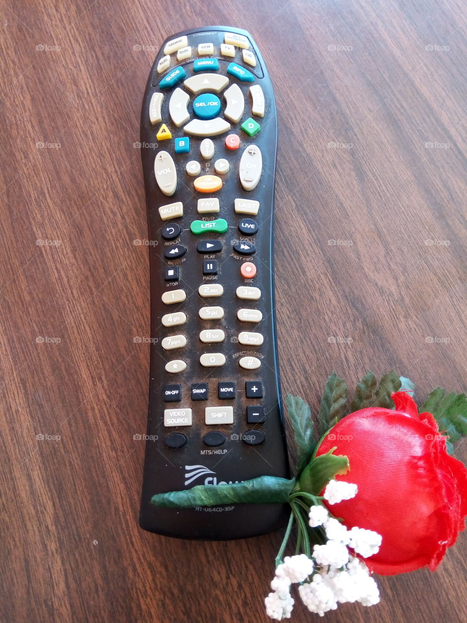 remote control