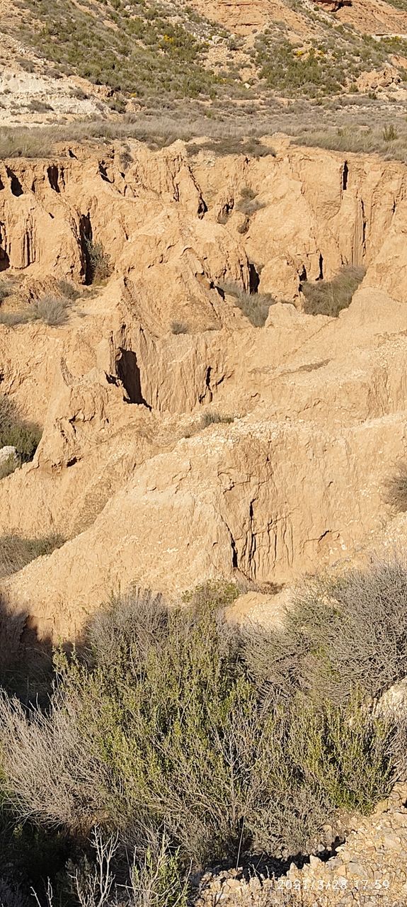 Barranco BardenasReales