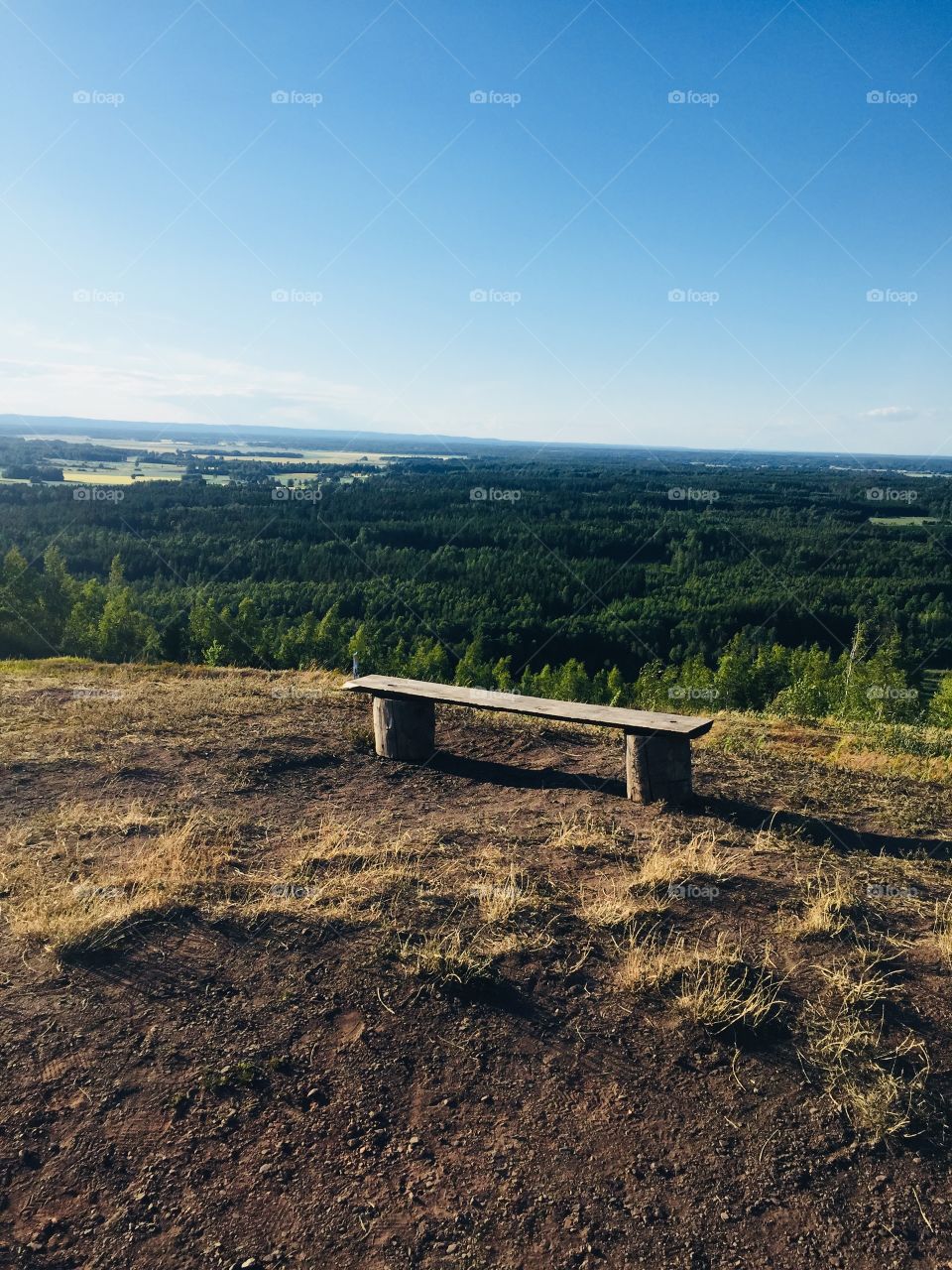 Bench on hill