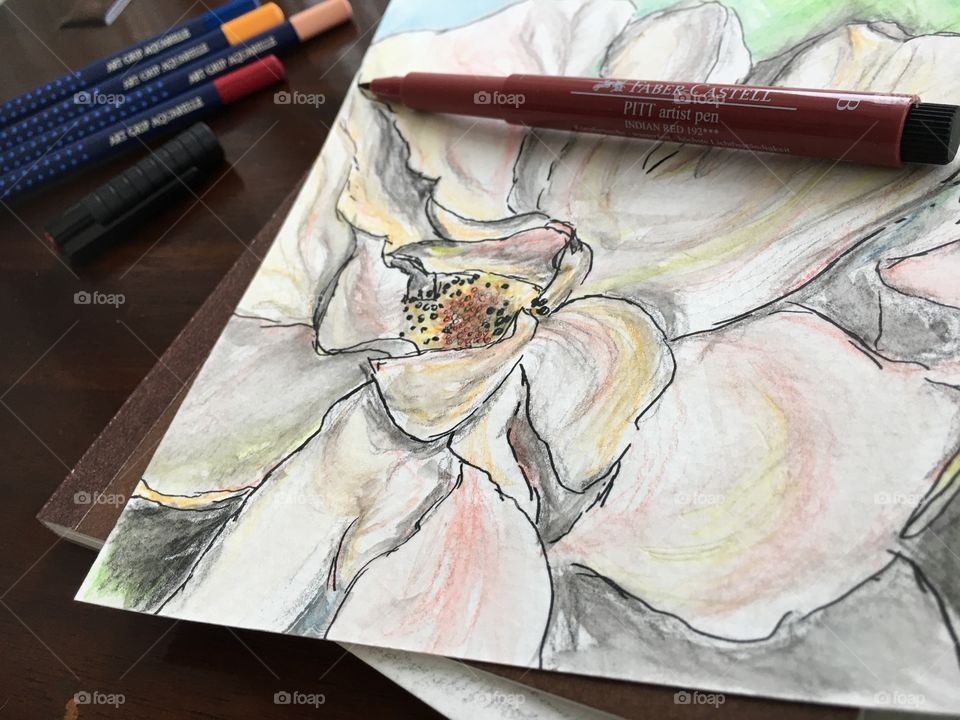 Flowers and nature colors Faber-Castell Aquarelle watercolor sketch art photography 