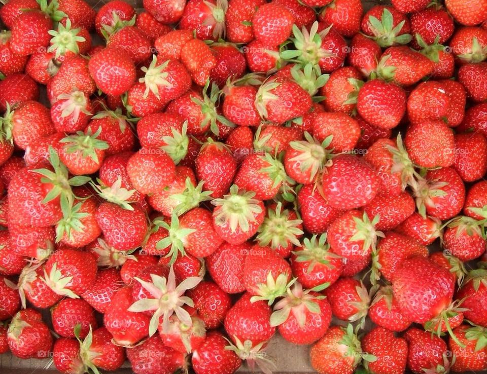 Summer Strawberries