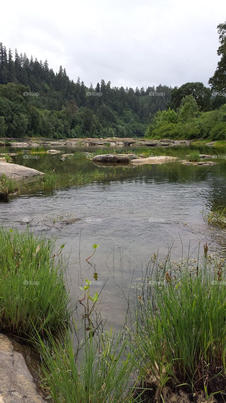 Umpqua River Spawning Area