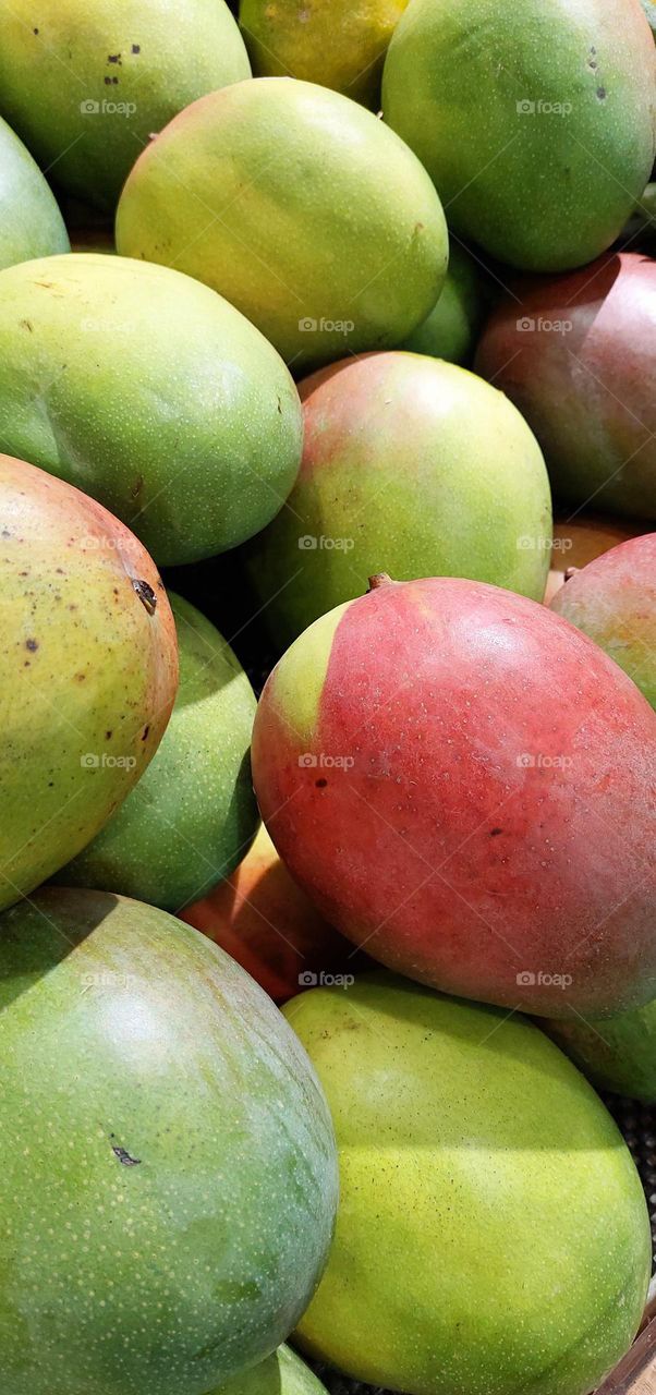 Mango or mempelam is the name of a type of fruit, as well as the name of the tree. Mango belongs to the genus Mangifera, which consists of 35-40 members of the Anacardiaceae tribe