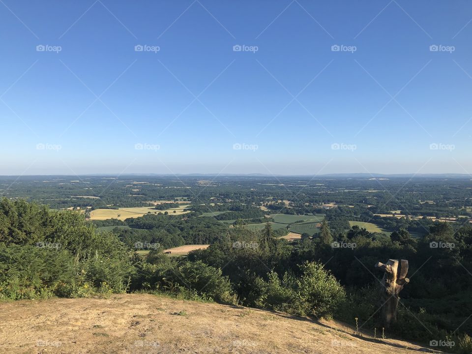 View from Leith hill