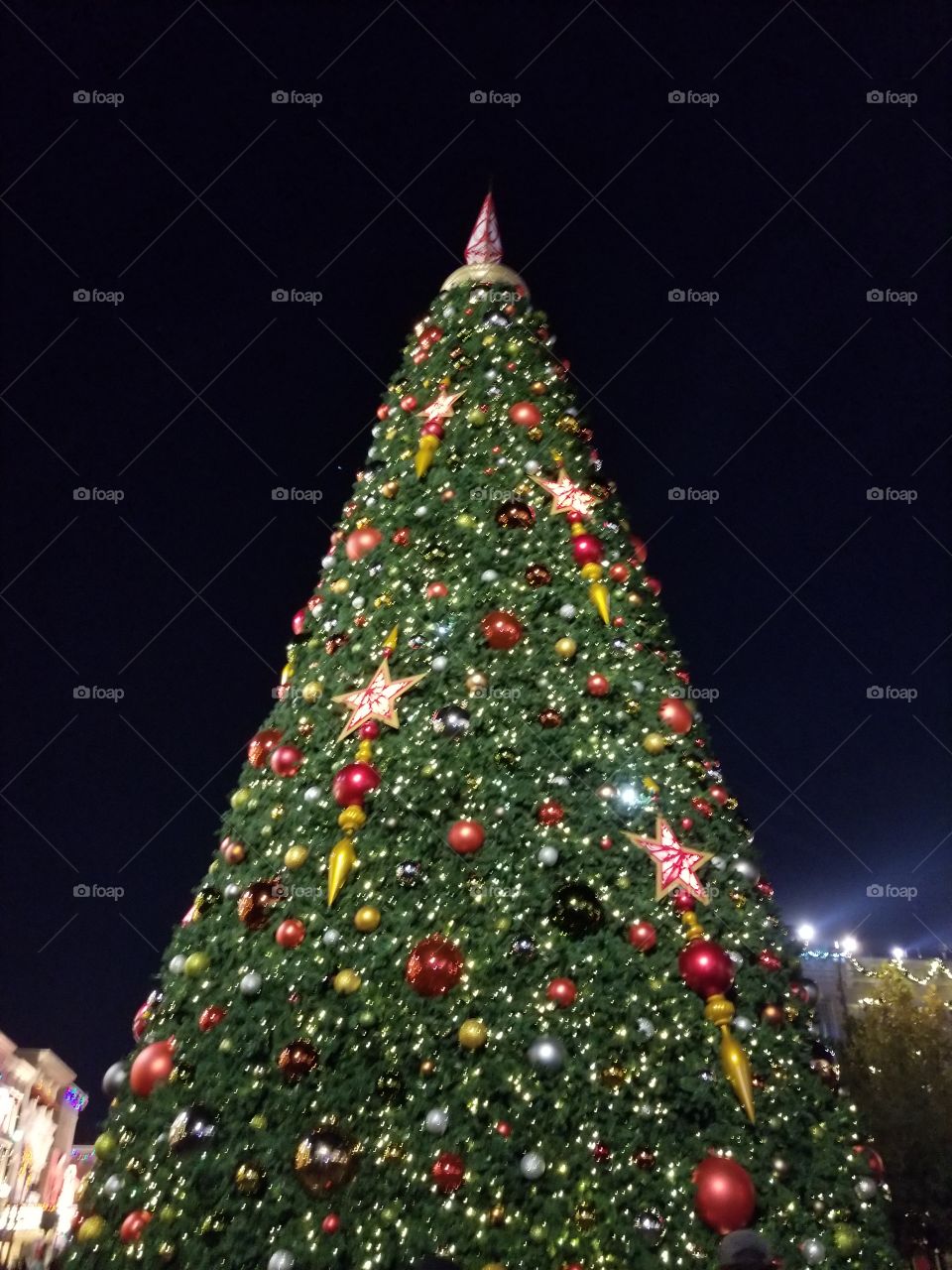 Christmas Tree at Disney World