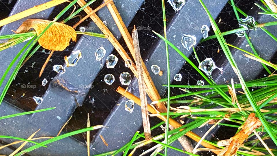Raindrops on spiderweb