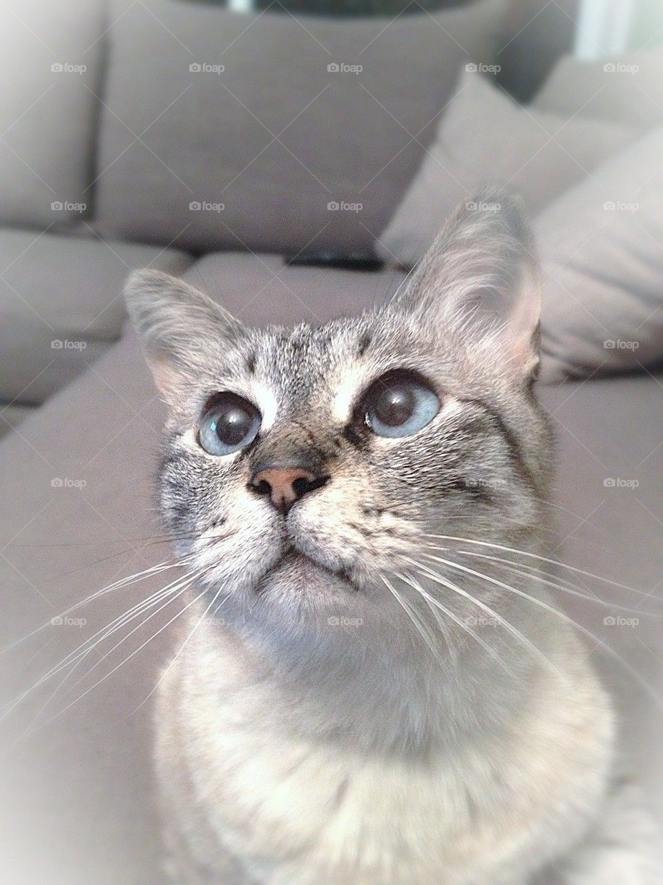 Please sir, may I have some more