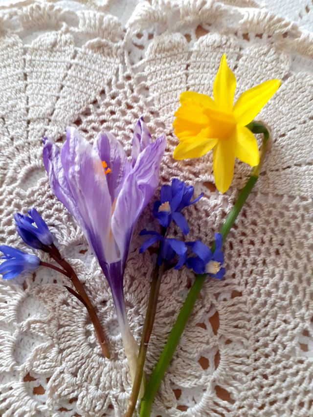 flowers