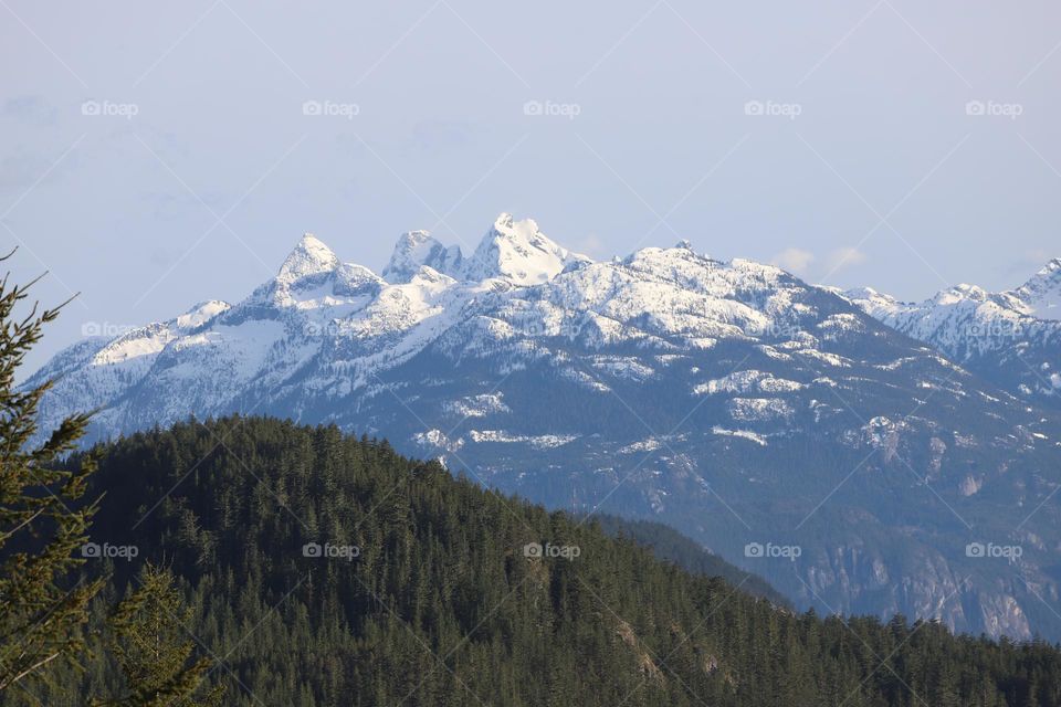 Snow covered mountain range above the dense forest 