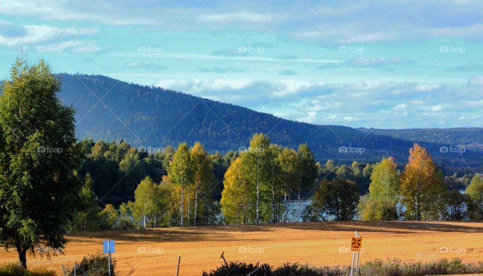 fog landscape view sky by arman