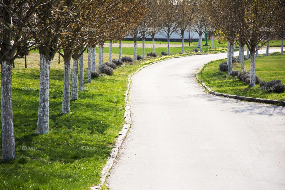 road in the countryside