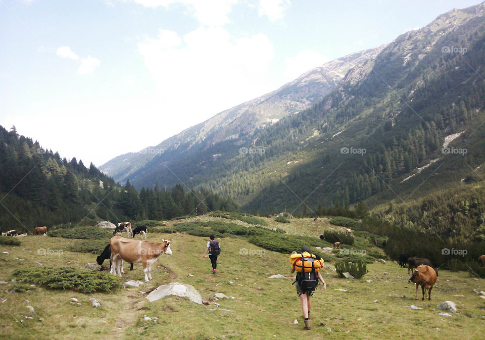 Mountain trip, Pirin mountain, Bulgaria