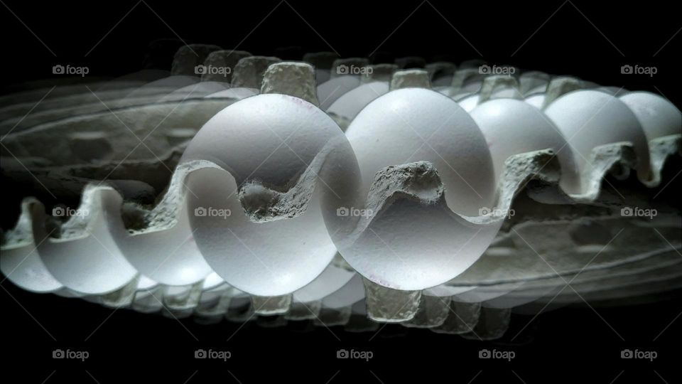 eggs motion