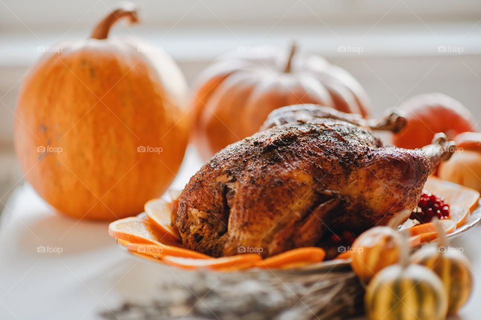 turkey, Thanksgiving, pumpkin, Thanksgiving day, Thanksgiving decor,