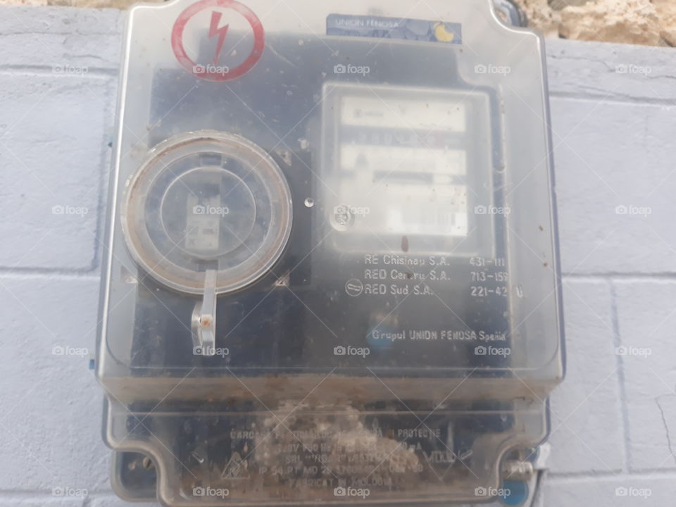 A bee in the electric box