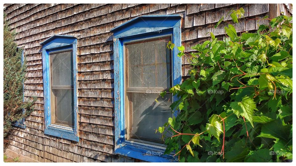 House, Window, Family, Wood, Door