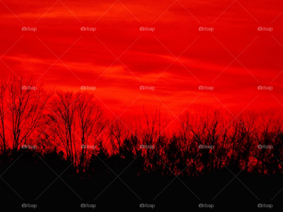 Beautiful red sky