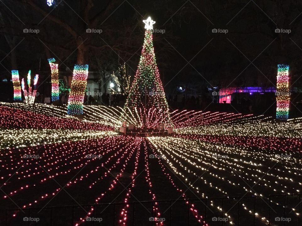 Christmas tree lights!