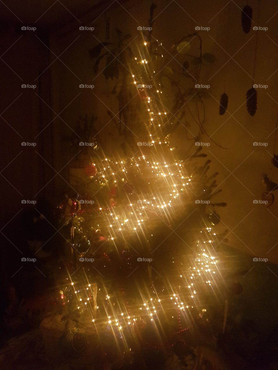 christmas tree lights real pine tree light guirlande holiday season decoration kerst Noel