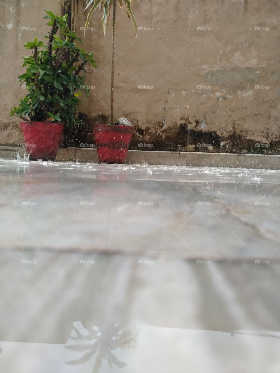 raining drop are falling on earth